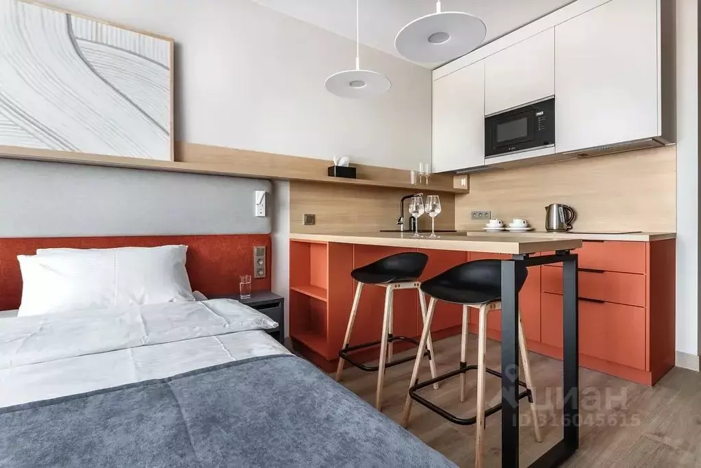 Студия Санкт-Петербург бул. Измайловский, 1к2 (26.0 м) - Фото 1