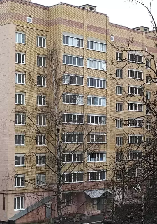 1-к кв. Костромская область, Кострома Никитская ул., 118А (48.0 м) - Фото 1