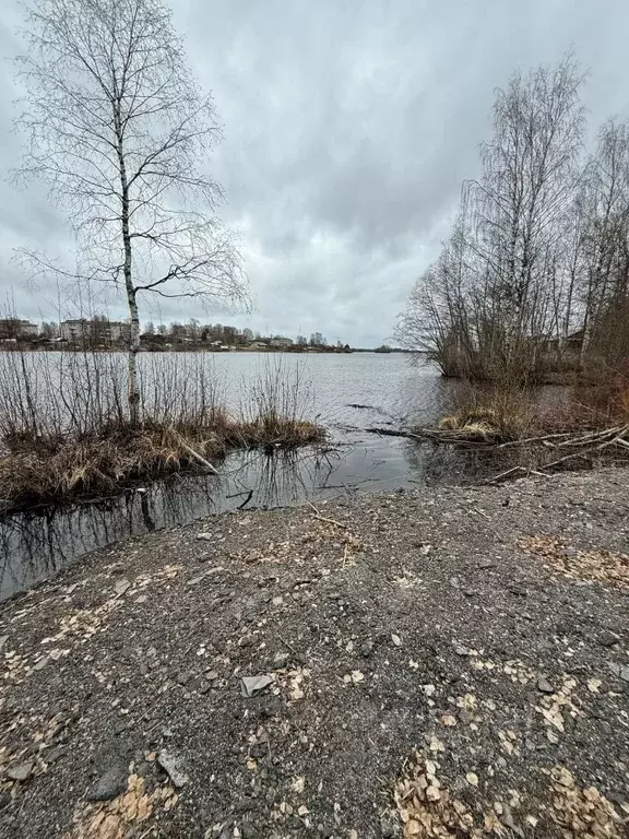 Участок в Карелия, Медвежьегорский муниципальный округ, д. Шуньга ул. ... - Фото 1