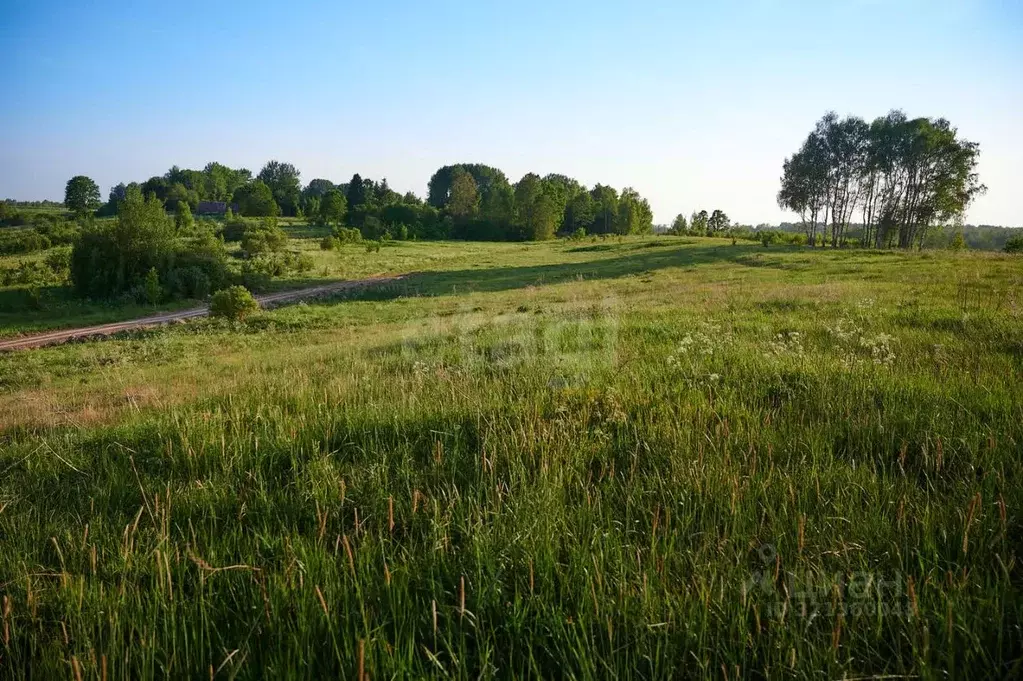 Участок в Псковская область, Островский район, Воронцовская волость, ... - Фото 1