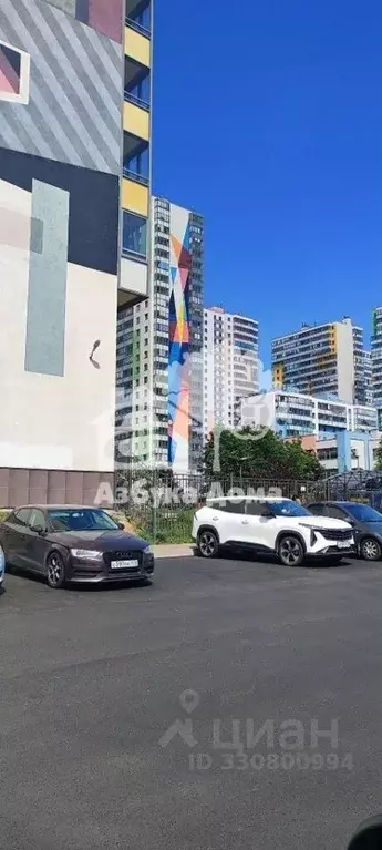 Студия Санкт-Петербург просп. Королева, 59к2 (26.0 м) - Фото 2