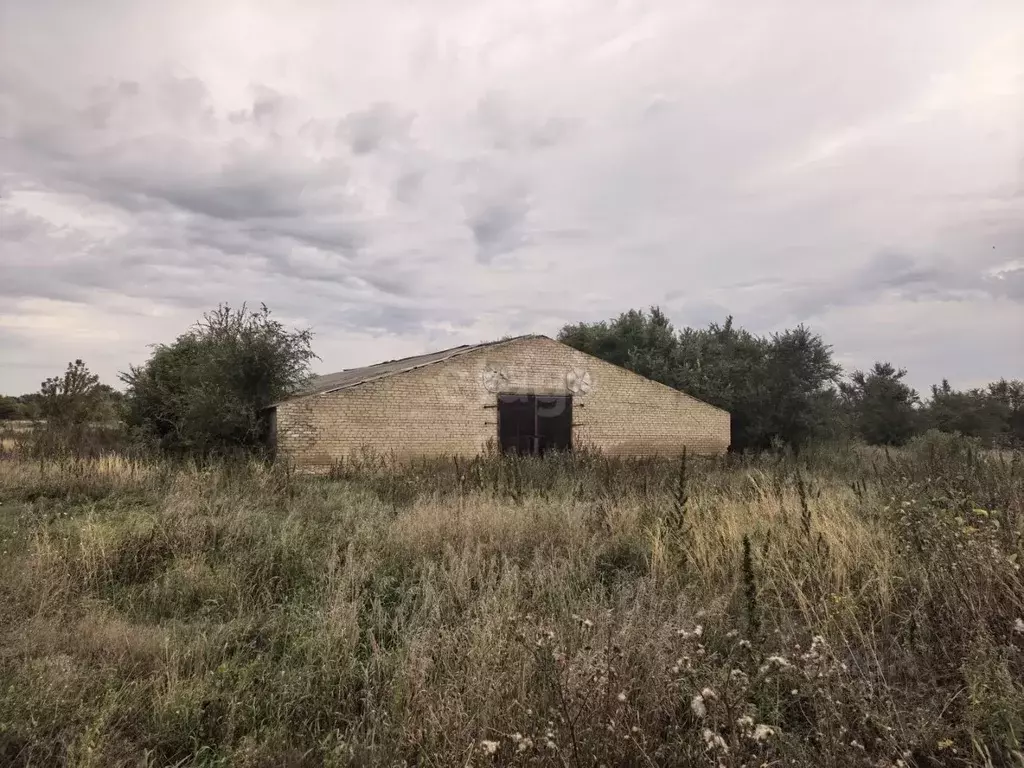 Склад в Самарская область, Хворостянский район, с. Абашево ... - Фото 1