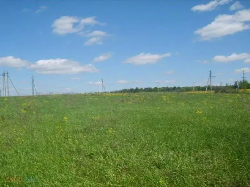 Участок в Пензенская область, Пенза ул. Большая Радищевская, 8 (100.0 ... - Фото 0