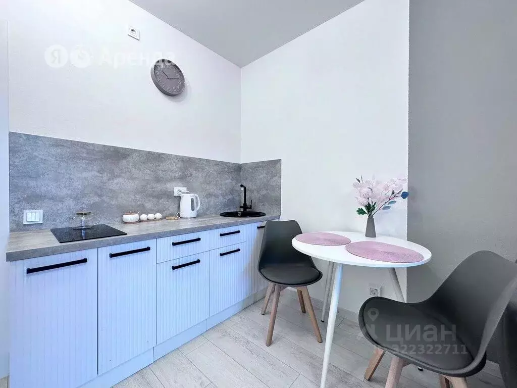 Студия Санкт-Петербург ш. Суздальское, 18к4 (29.0 м) - Фото 1