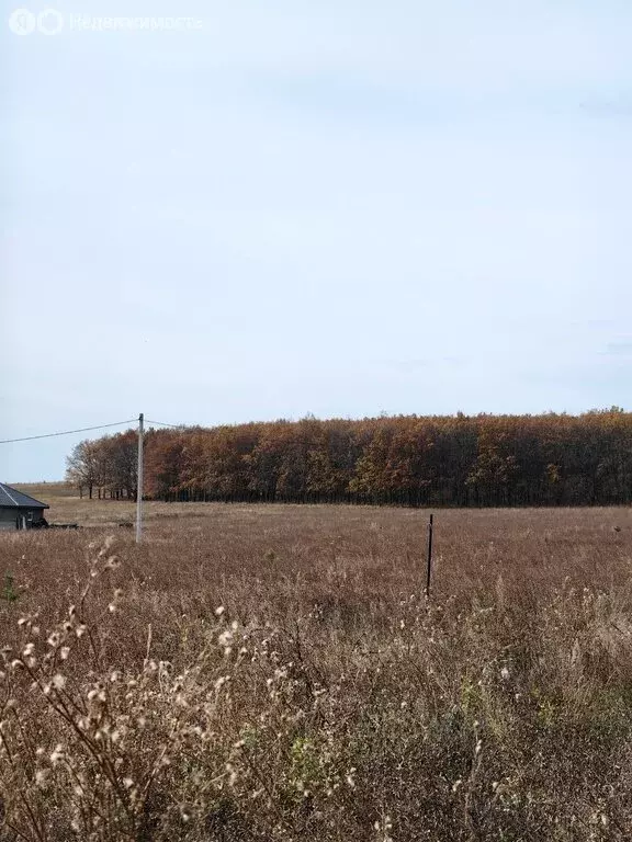 Участок в Стерлитамакский район, Казадаевский сельсовет, село ... - Фото 0