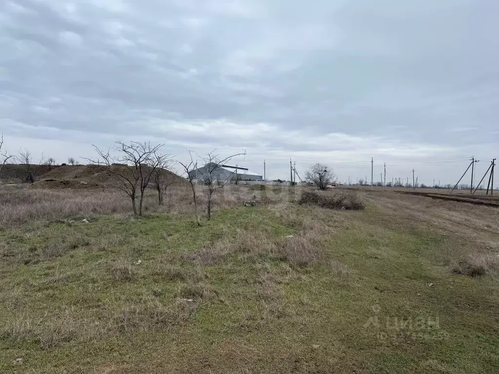 Участок в Крым, Сакский район, с. Молочное  (3.1 сот.) - Фото 1