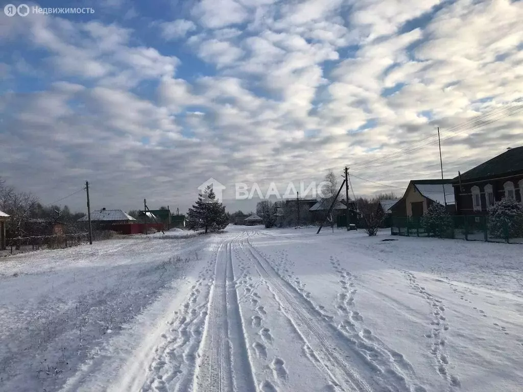 Дом в село Орехово, Центральная улица, 76В (90 м) - Фото 1