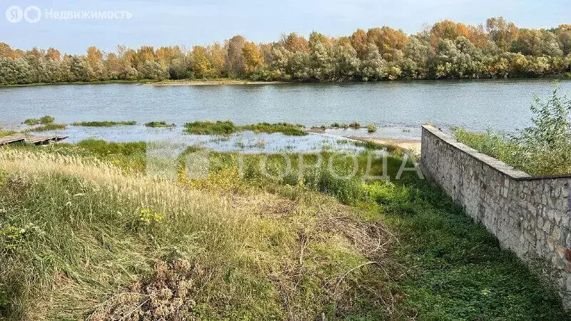 Участок в Новосибирский район, дачный посёлок Кудряшовский (13 м) - Фото 2