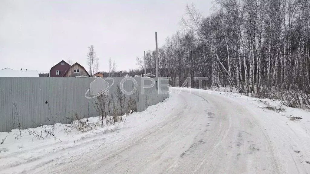 Участок в Тюменская область, Тюмень Медик СНТ, ул. Морковная, 87 (6.2 ... - Фото 2