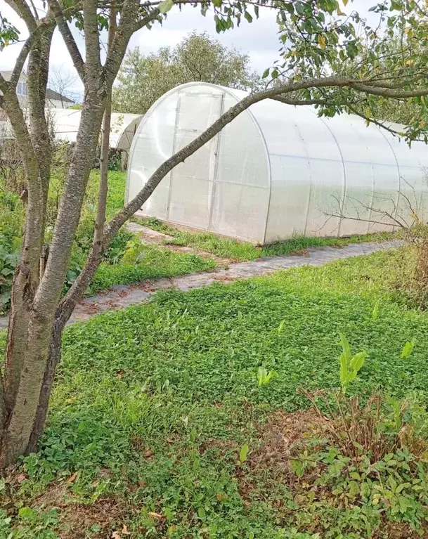 Участок в Московская область, Одинцовский городской округ, с. Дубки ... - Фото 2