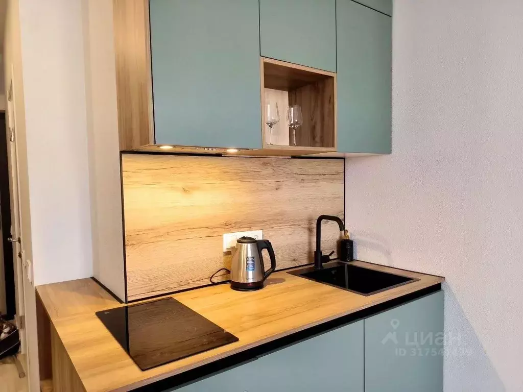 Студия Новосибирская область, Новосибирск ул. Кирова, 113/2 (25.0 м) - Фото 1