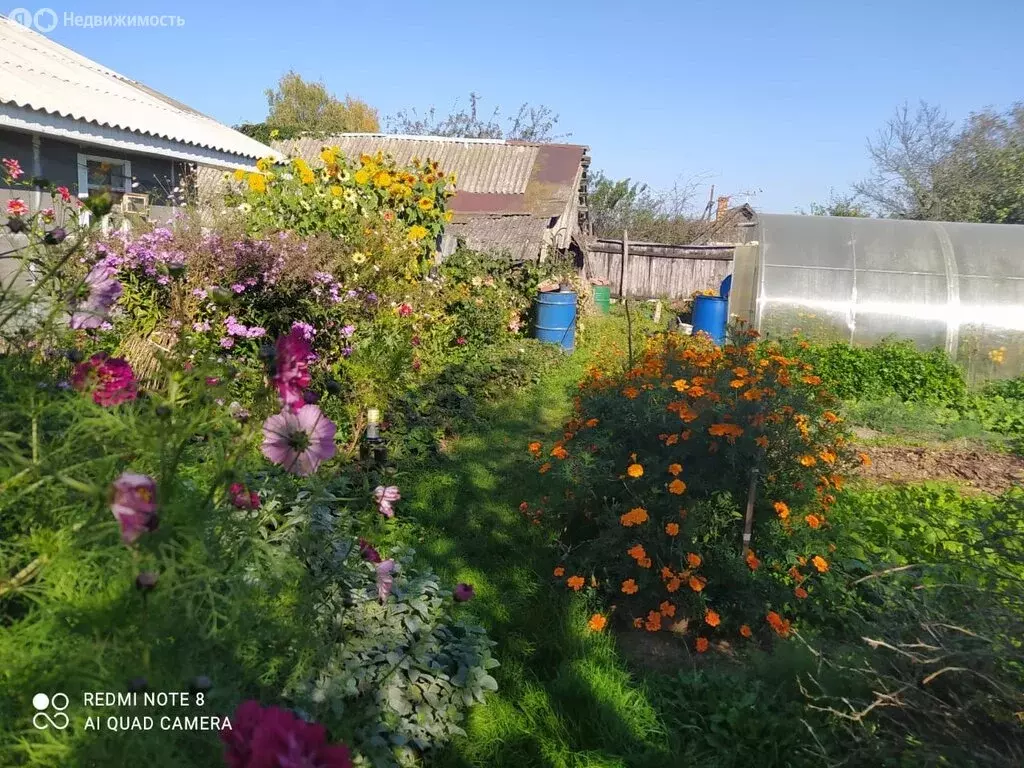 Дом в посёлок городского типа Монастырщина, 1-я Краснинская улица (80 ... - Фото 0