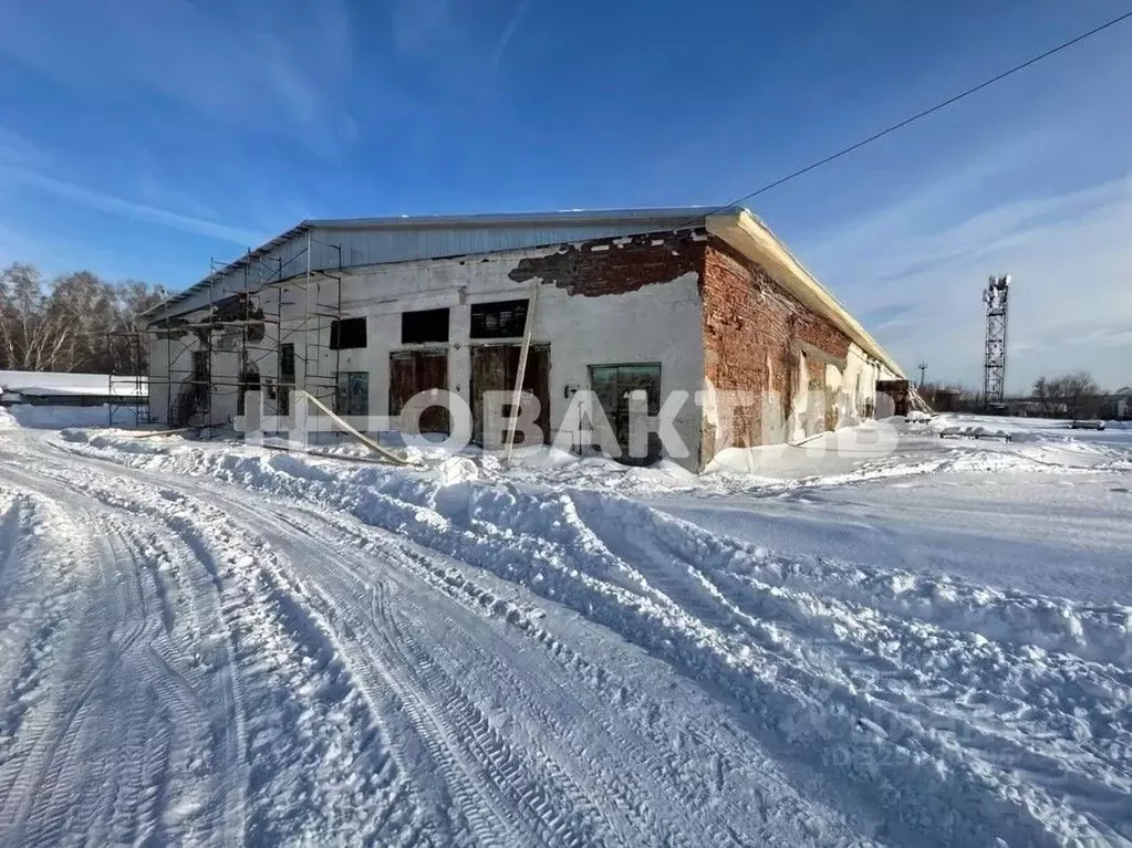 Помещение свободного назначения в Алтайский край, Косихинский район, ... - Фото 1