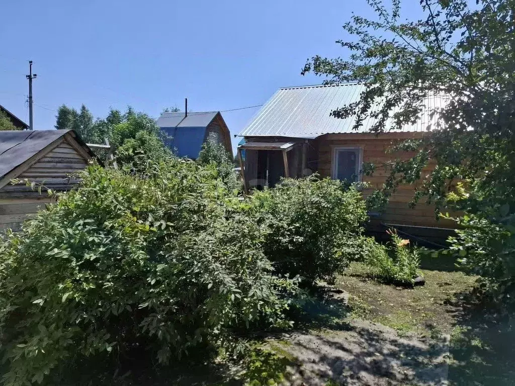 Дом в Новосибирская область, Новосибирский район, Толмачевский ... - Фото 0