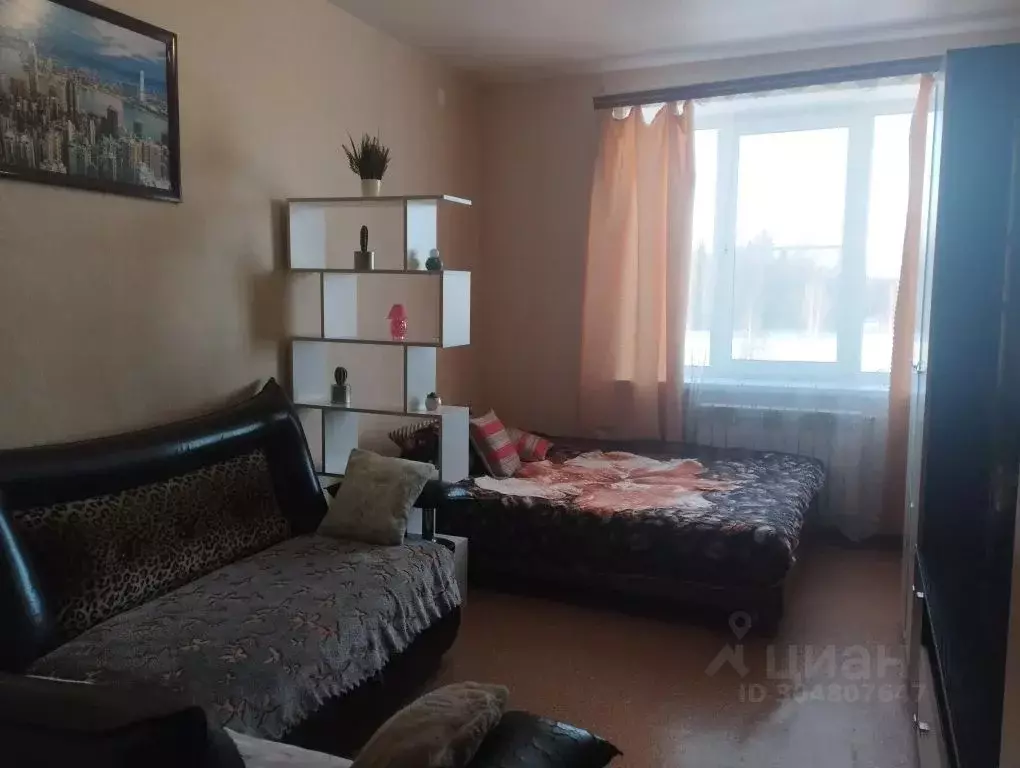 1-к кв. Нижегородская область, Семенов Заводская ул., 43 (33.0 м) - Фото 1