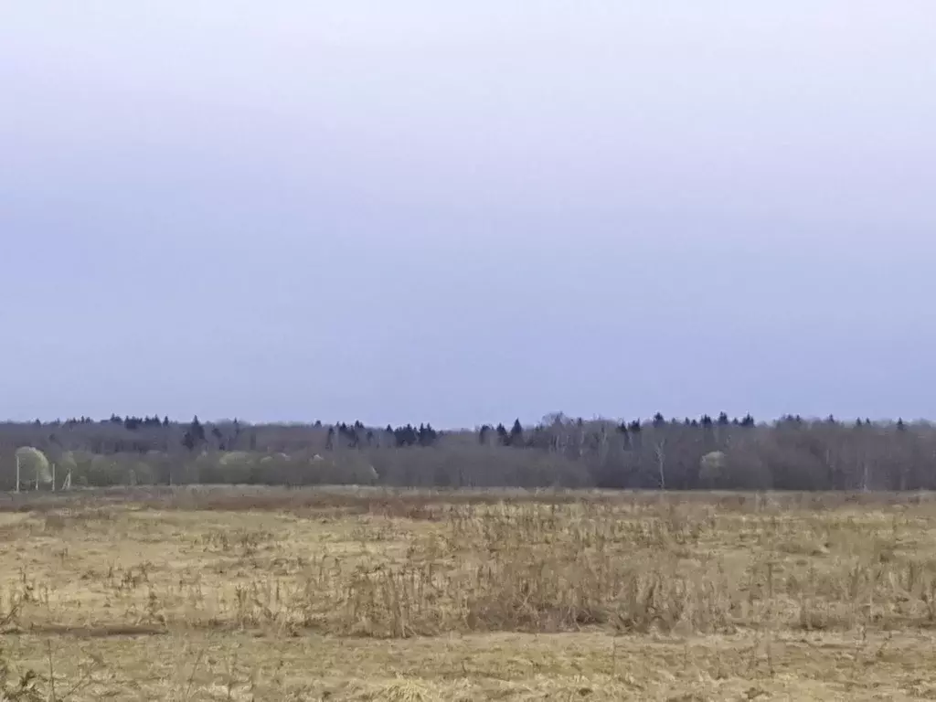 Участок в Московская область, Волоколамский муниципальный округ, ... - Фото 1