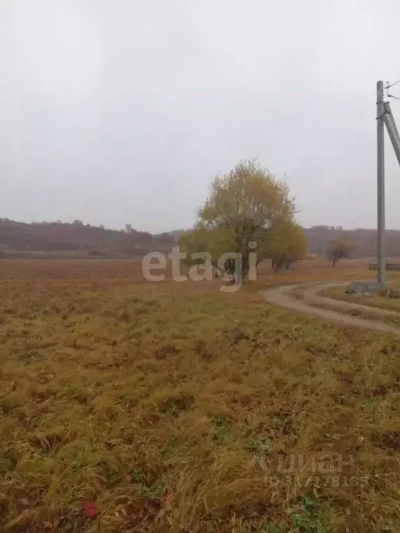 Участок в Амурская область, Благовещенский район, с. Чигири ... - Фото 0