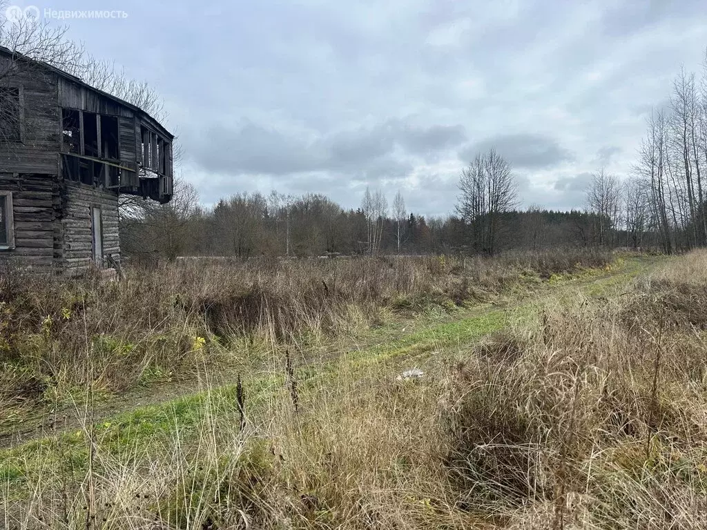 Участок в Владимирская область, Александровский муниципальный округ, ... - Фото 2