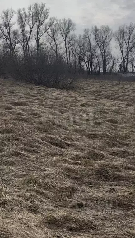 Участок в Калининградская область, Зеленоградский муниципальный округ, ... - Фото 1