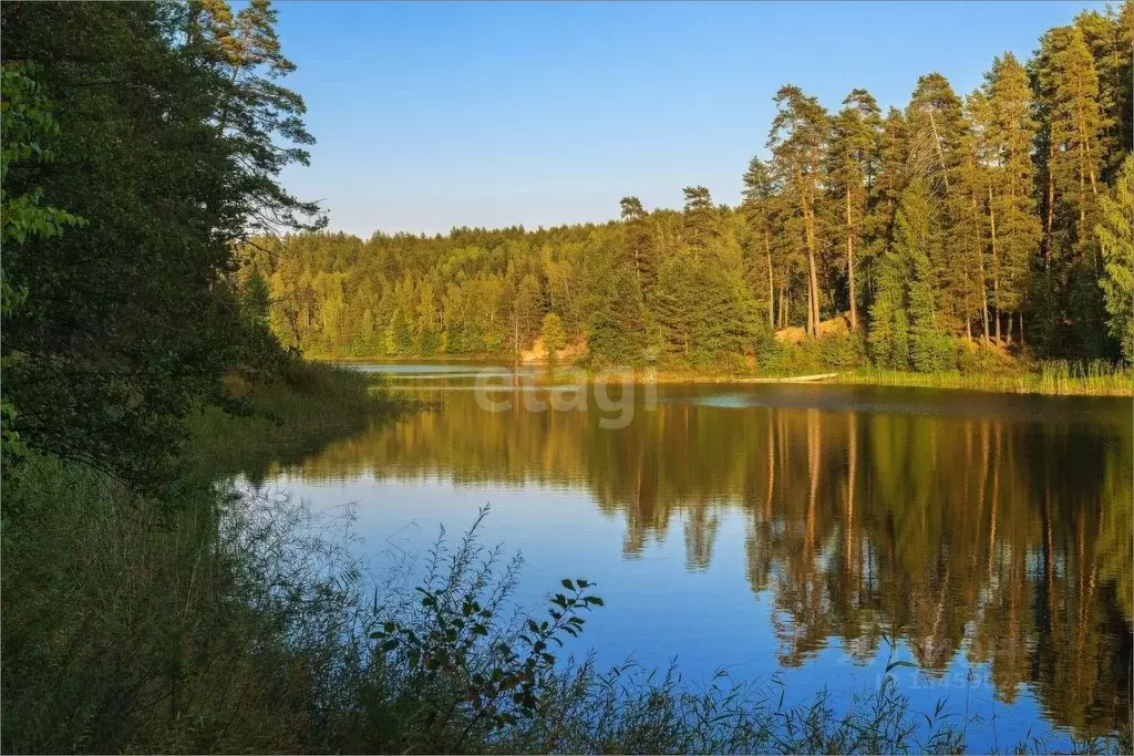 Участок в Марий Эл, Медведевский район, д. Юж-Толешево  (39.0 сот.) - Фото 0