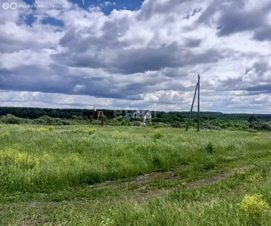 Участок в Кемеровская область, Киселёвск (15 м) - Фото 0