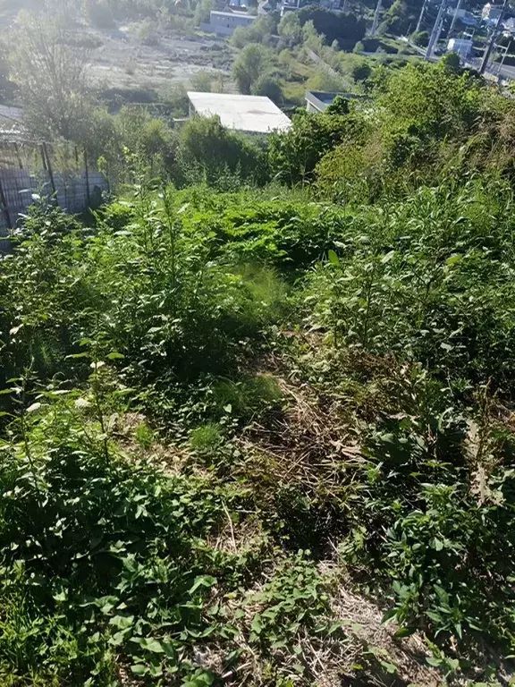 Участок в Краснодарский край, Сочи городской округ, с. Орел-Изумруд  ... - Фото 2