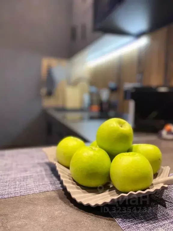 Студия Псковская область, Псков ул. Металлистов, 5 (23.0 м) - Фото 1