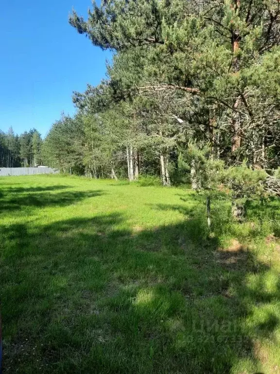 Участок в Ленинградская область, Выборгский район, Приморское ... - Фото 2