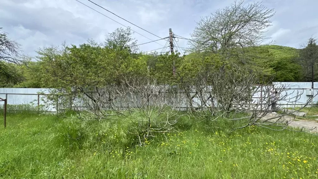 Участок в Краснодарский край, Геленджик городской округ, с. ... - Фото 1