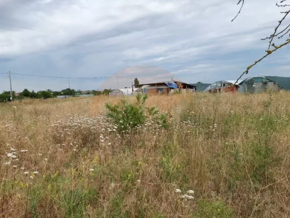 Участок в Крым, Сакский район, Молочненское с/пос, с. Витино ул. ... - Фото 1