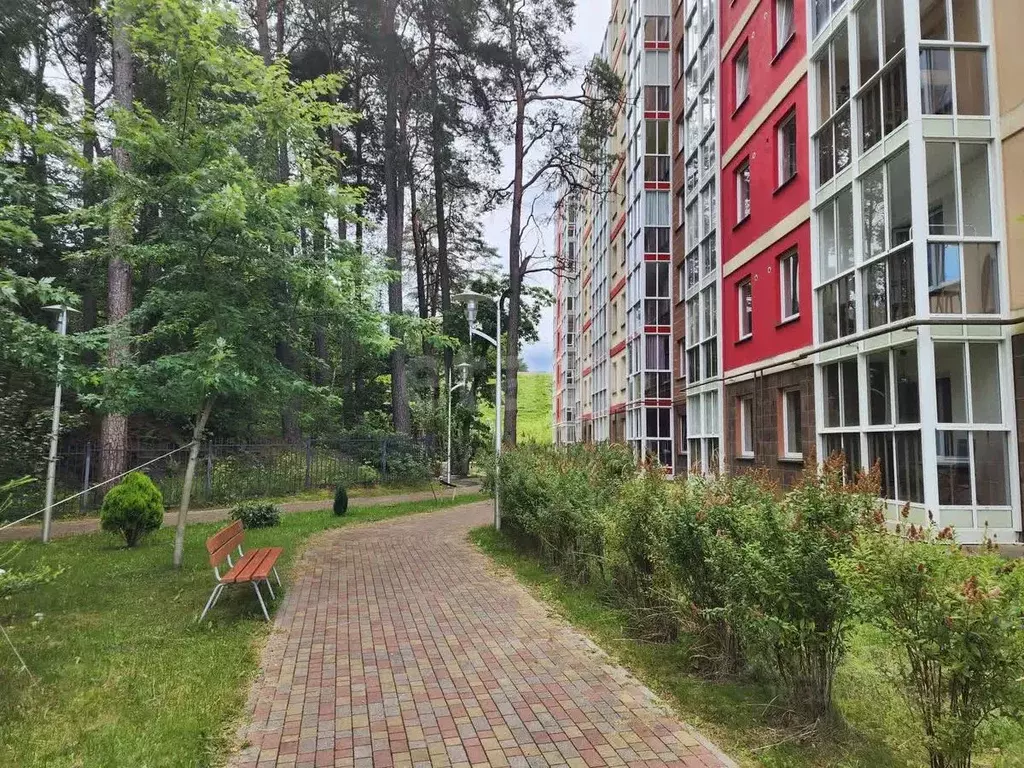 Студия Калининградская область, Светлогорск Майский проезд, 19 (28.0 ... - Фото 1