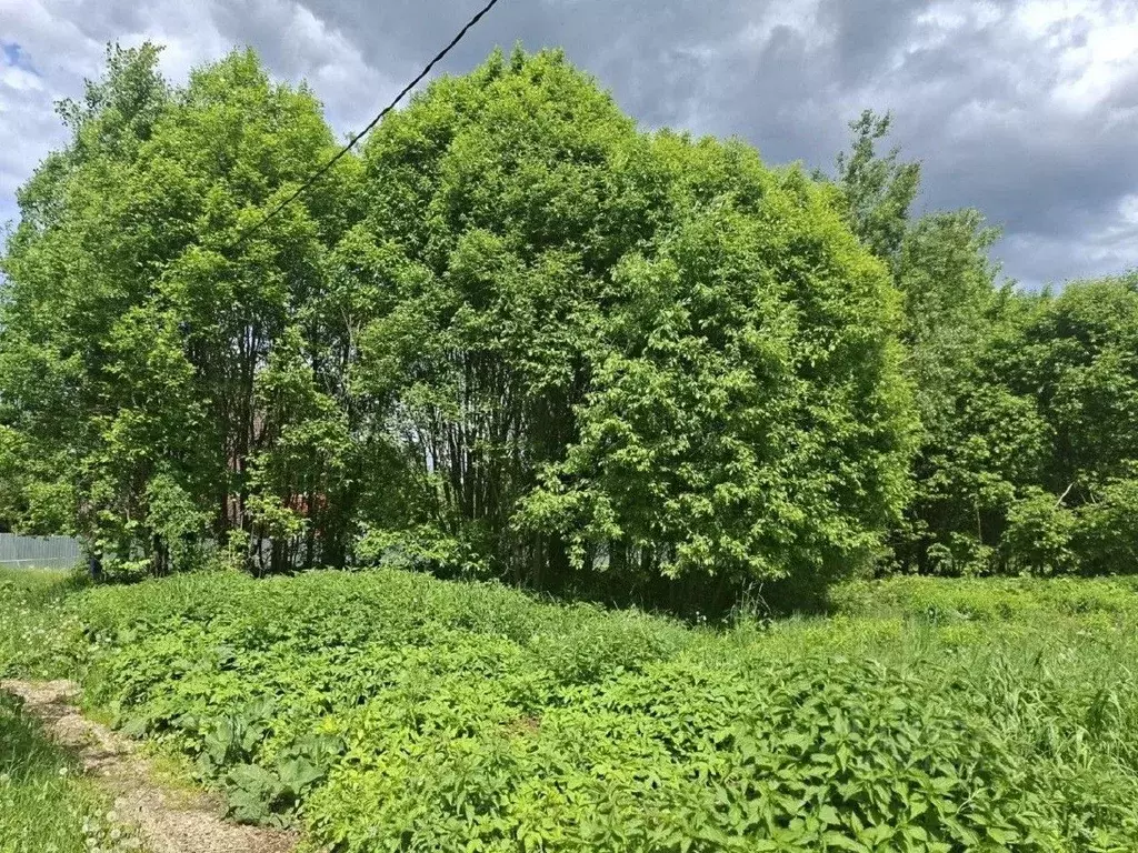 Участок в Московская область, Мытищи городской округ, д. Долгиниха, д. ... - Фото 1