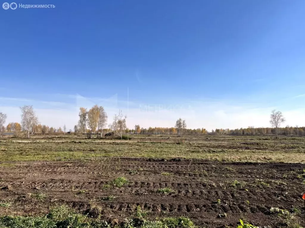 Участок в Тюменская область, Нижнетавдинский муниципальный округ, ... - Фото 1