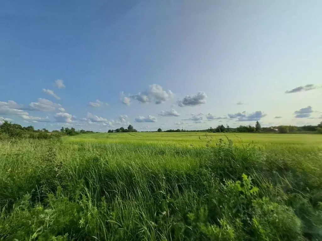 Участок в Курская область, Курский район, Новопоселеновский сельсовет, ... - Фото 0