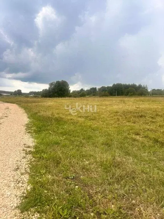 Участок в Нижегородская область, Богородский муниципальный округ, д. ... - Фото 1