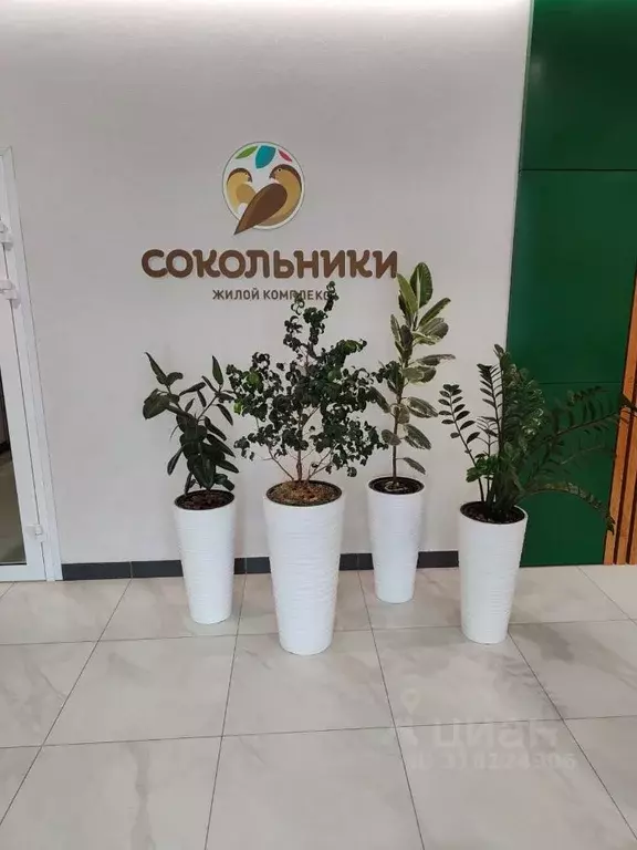 2-к кв. Новосибирская область, Новосибирск ул. Ошанина, 5 (47.4 м) - Фото 0