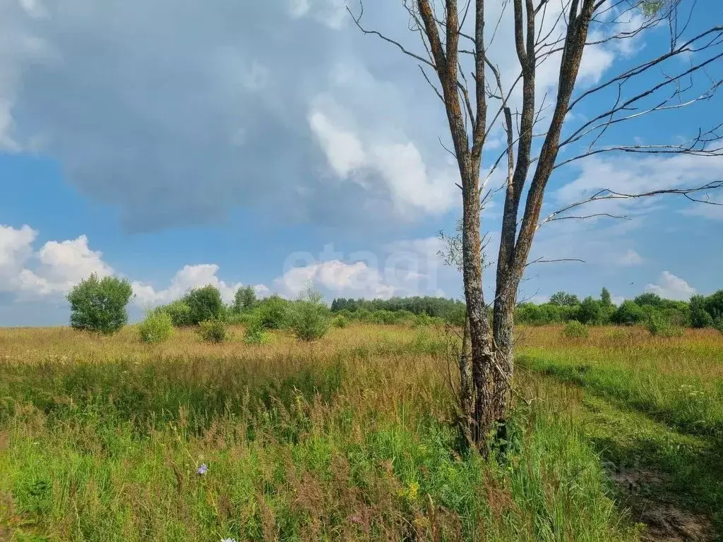 Участок в Калужская область, Жуковский муниципальный округ, с. ... - Фото 1