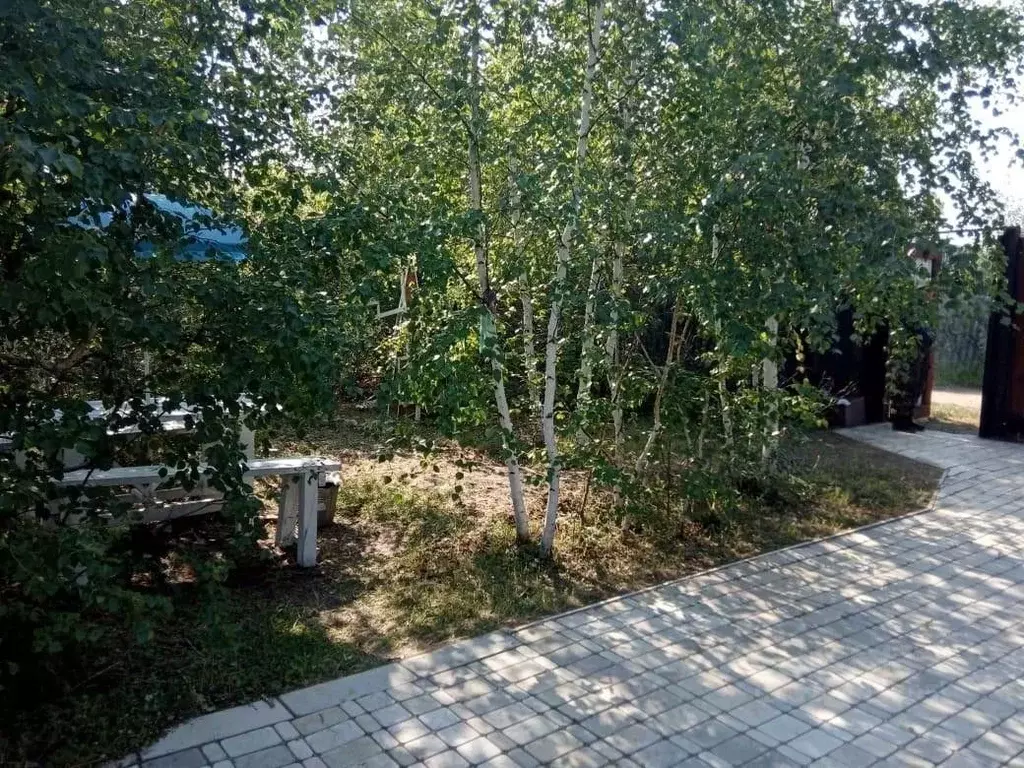 Участок в Саха (Якутия), Якутск городской округ, с. Маган  (11.0 сот.) - Фото 1
