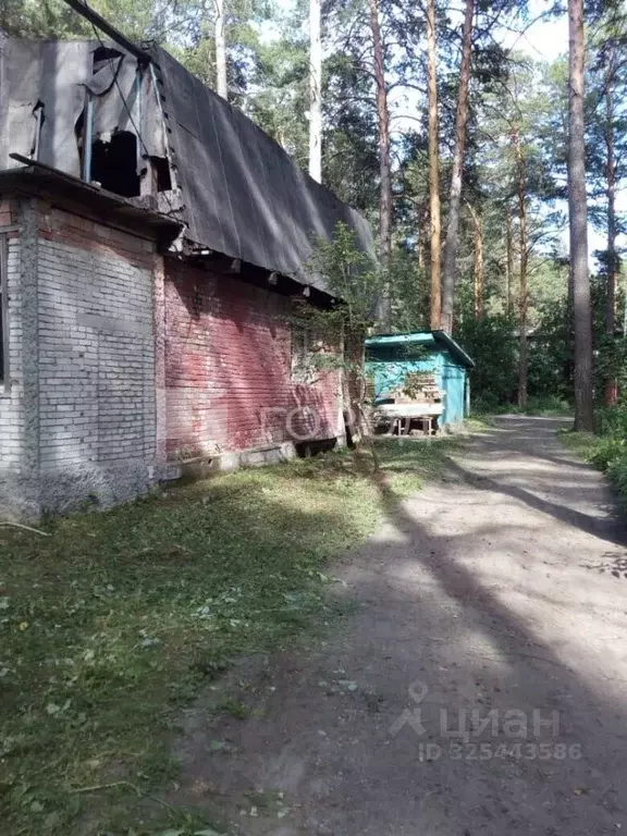 Участок в Новосибирская область, Новосибирский район, Мочищенский ... - Фото 2