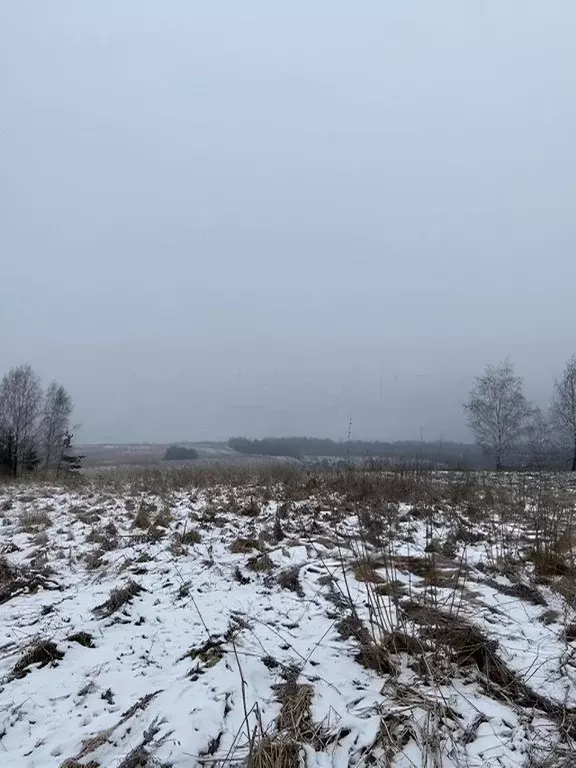 Участок в Смоленская область, Смоленский муниципальный округ, д. ... - Фото 0