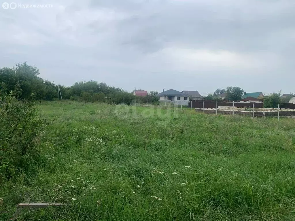 Участок в село Новоживотинное, Солнечная улица (13 м) - Фото 2