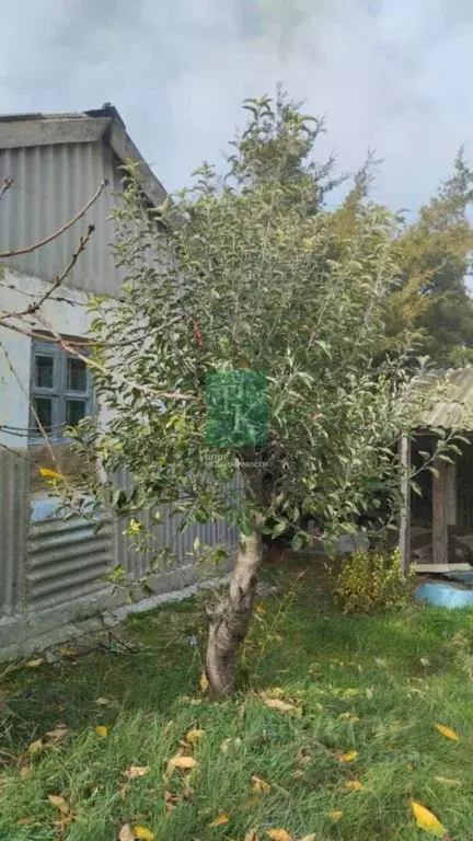 Дом в Крым, Ленинский район, с. Останино пер. Колхозный, 2 (36 м) - Фото 2