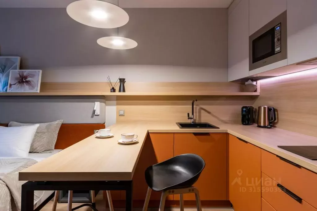 Студия Санкт-Петербург бул. Измайловский, 1к2 (27.0 м) - Фото 1