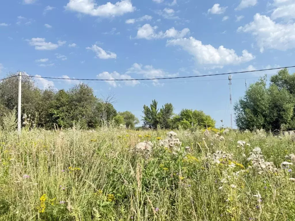 Участок в Московская область, Кашира городской округ, д. Пятница  ... - Фото 1