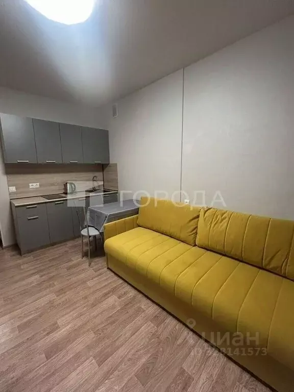 Студия Новосибирская область, Новосибирск Родники мкр, ул. Михаила ... - Фото 1