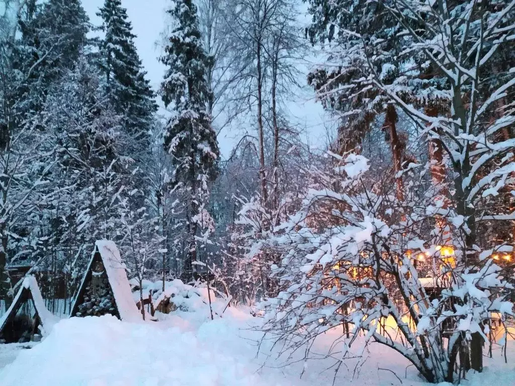 Дом в Московская область, Дмитровский муниципальный округ, Хлыбы кп ... - Фото 2