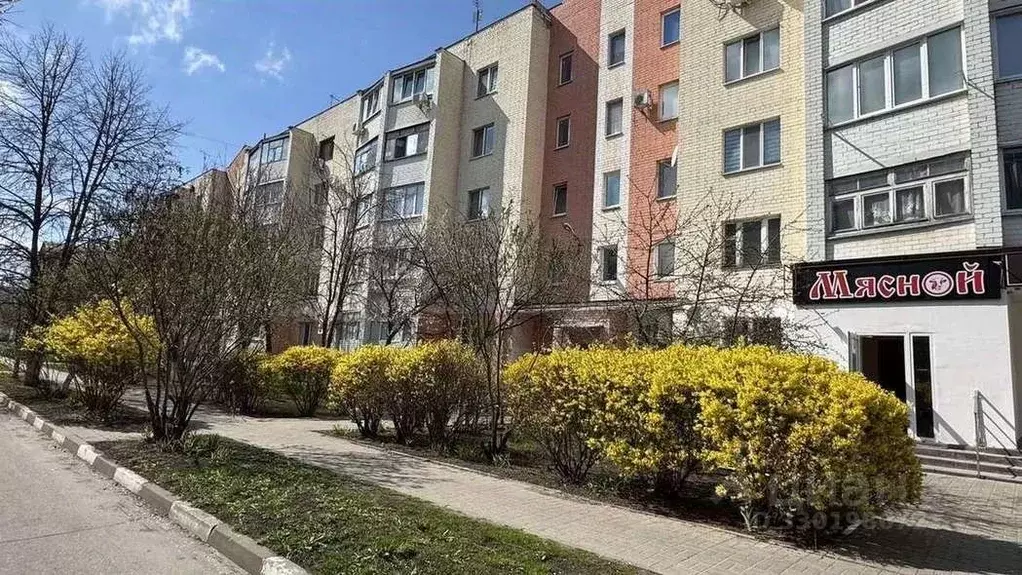 2-к кв. Белгородская область, Белгородский район, Разумное рп ул. ... - Фото 2