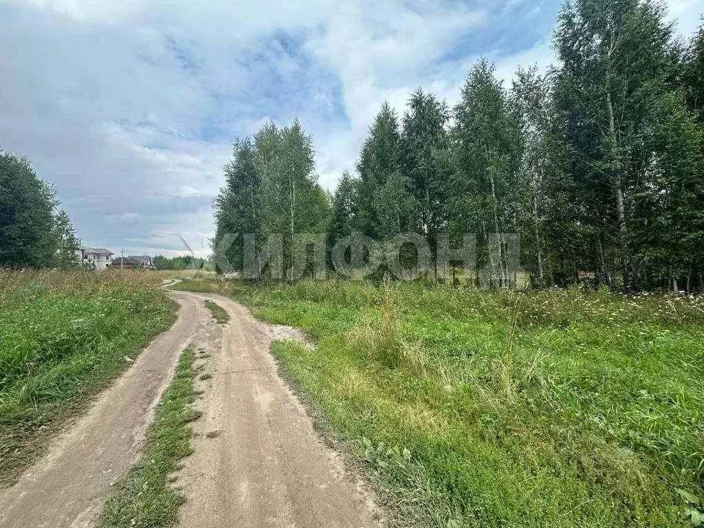 Участок в Новосибирская область, Новосибирский район, Каменский ... - Фото 2