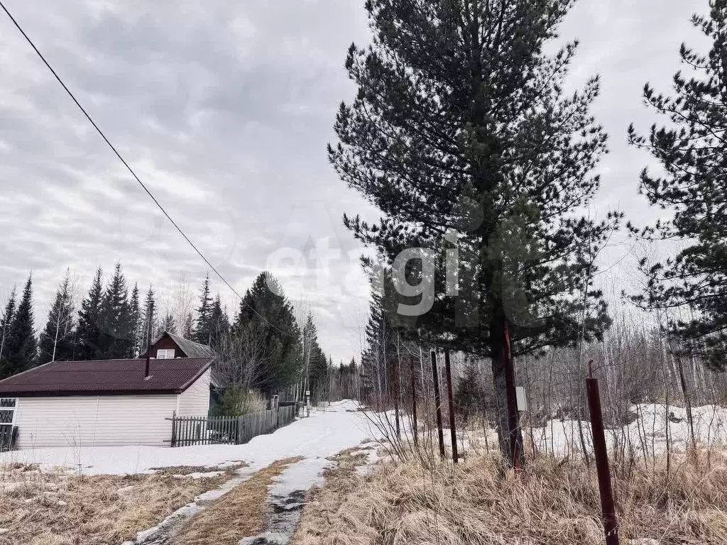 Участок 9,9 сот. (СНТ, ДНП) - Фото 1