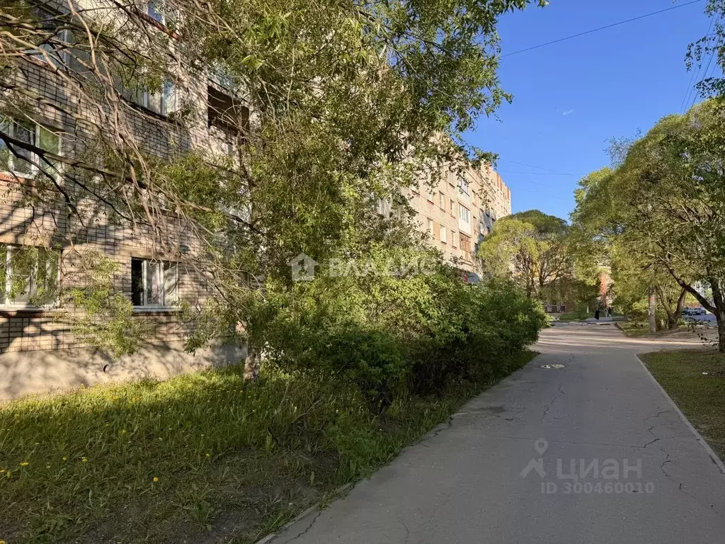 Помещение свободного назначения в Вологодская область, Вологда ... - Фото 1